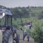 Urban Distribution - Wine Calling – Le vin se lève